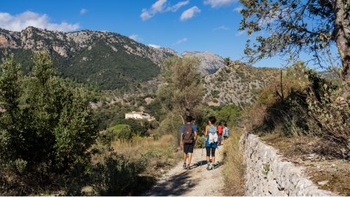 Excursión en grupo con guía en Mallorca
