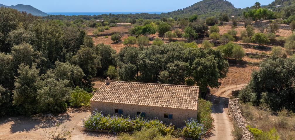 Finca Bonita
