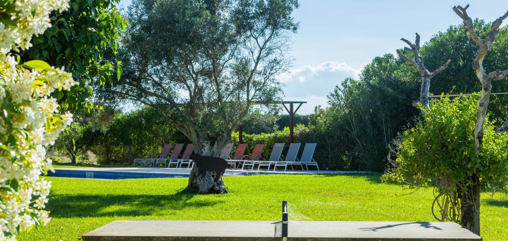 Finca Febrer