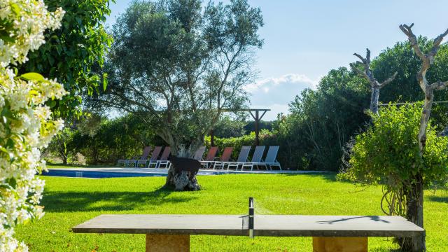 Finca Febrer