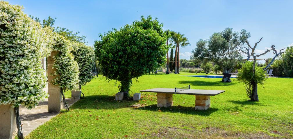 Finca Febrer