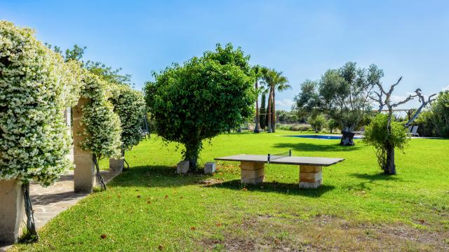 Finca Febrer
