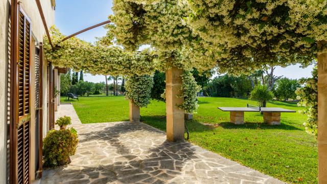 Finca Febrer