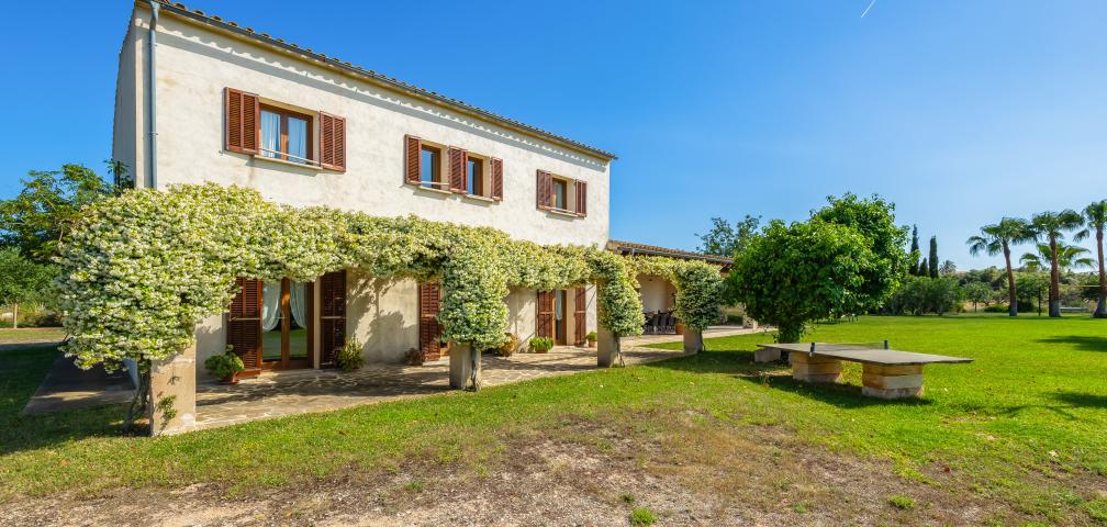 Finca Febrer
