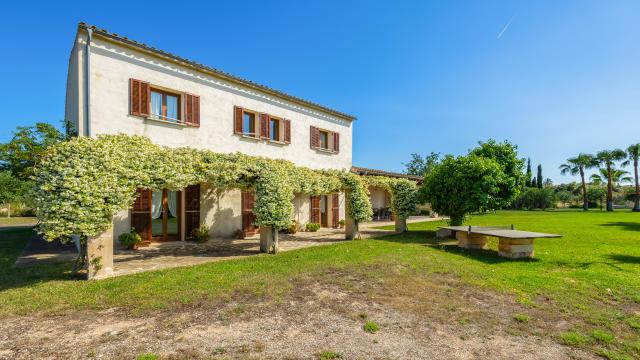 Finca Febrer