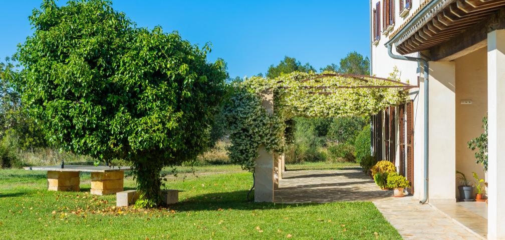 Finca Febrer