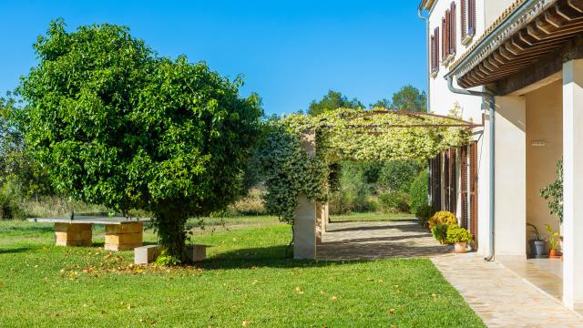 Finca Febrer