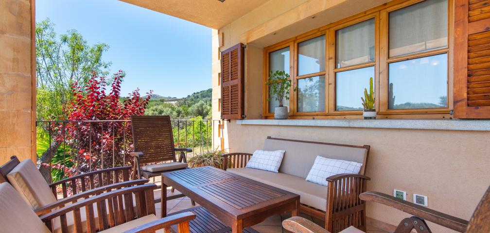 Finca Son Forte Nou