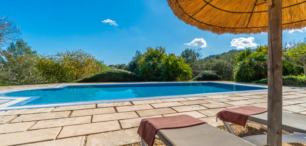 Finca Once Pinos