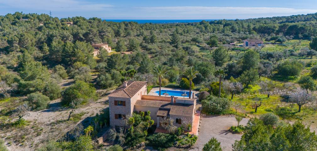 Finca Once Pinos