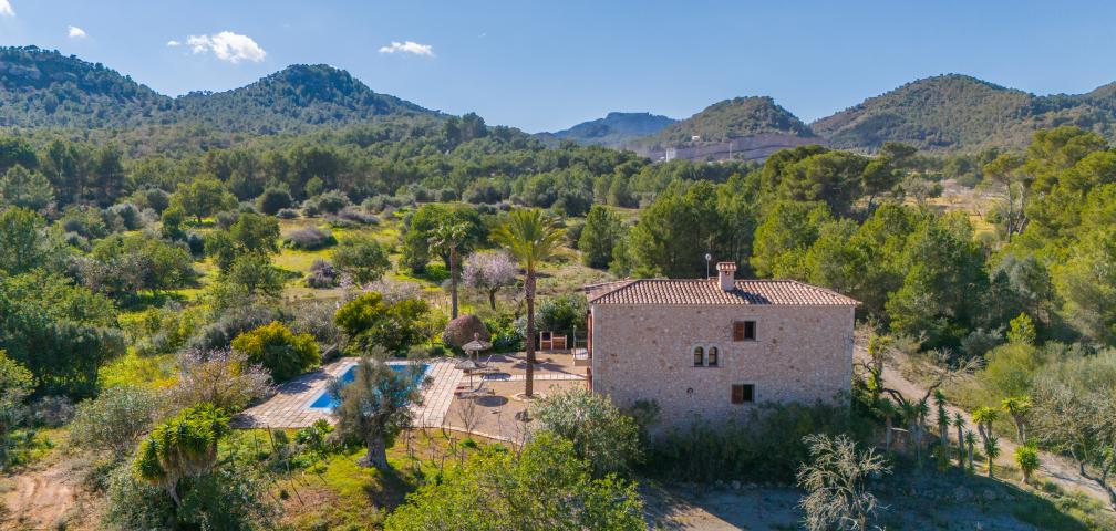 Finca Once Pinos