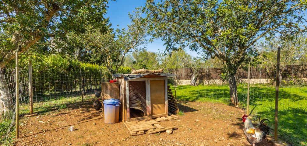 Finca Cas Boter