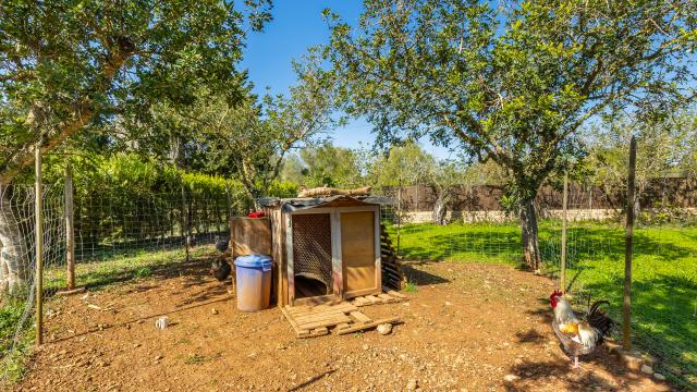 Finca Cas Boter