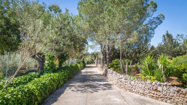 Finca Cel i Sol