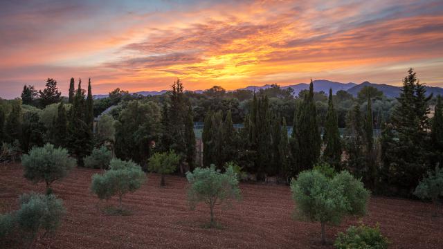 Finca Cel i Sol