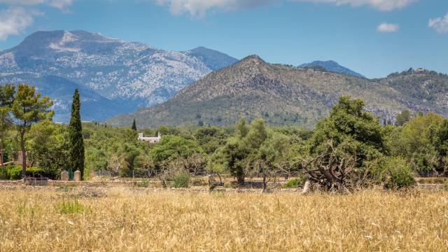 Finca Cel i Sol