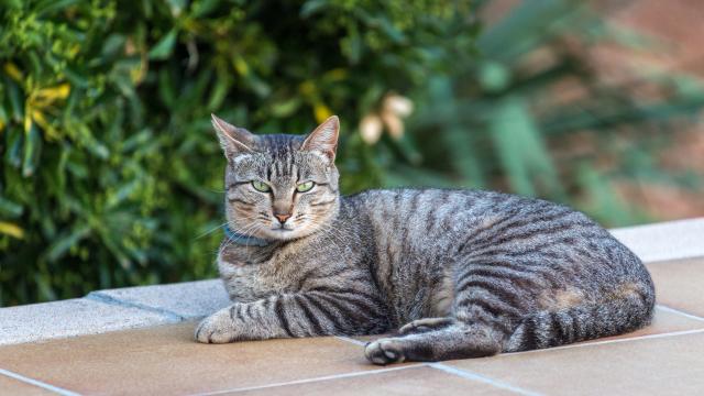 Finca Cel i Sol