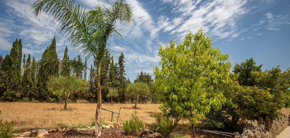 Finca Cel i Sol