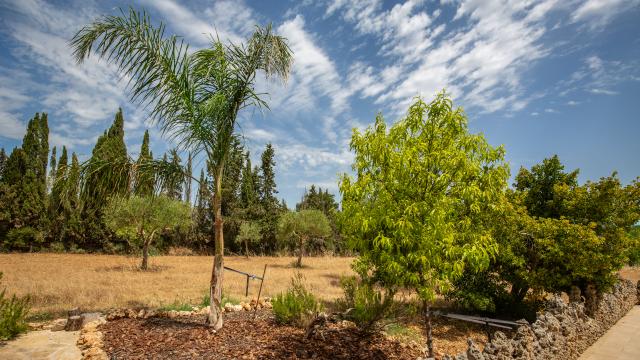 Finca Cel i Sol