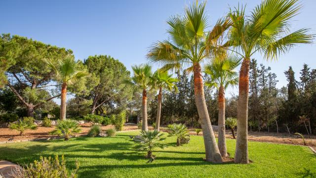 Finca Cel i Sol