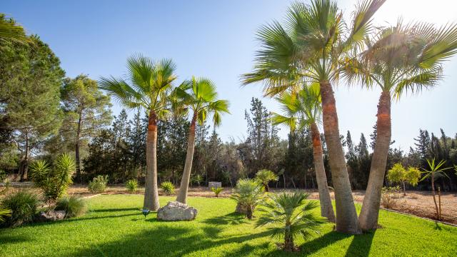 Finca Cel i Sol