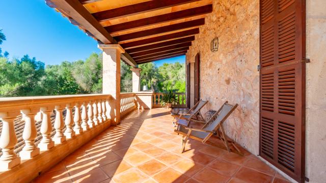 Finca Marti