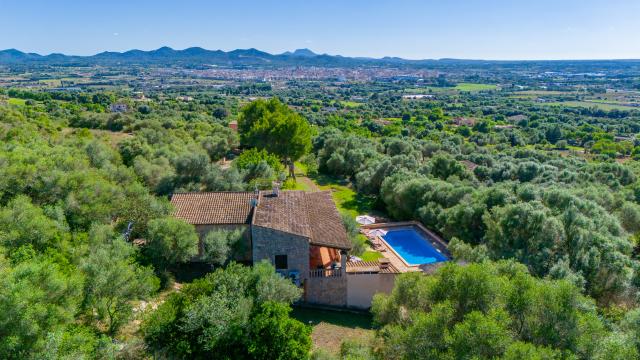 Finca Marti