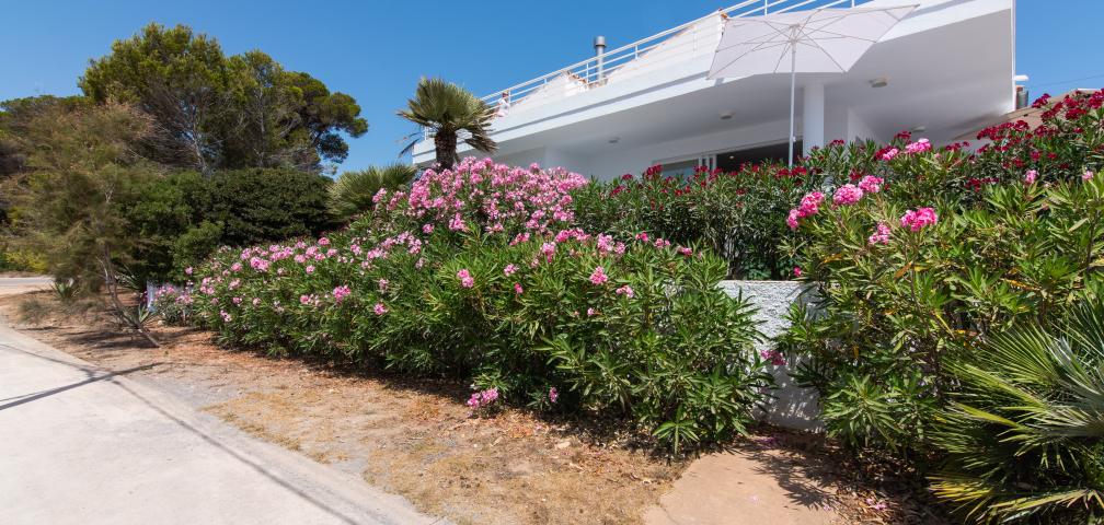 Villa Na Pilena