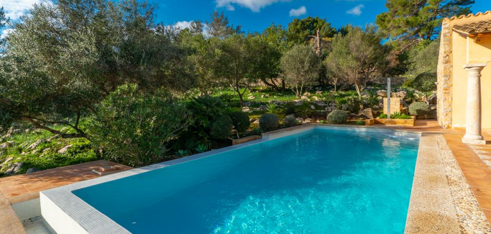 Finca Son Sureda