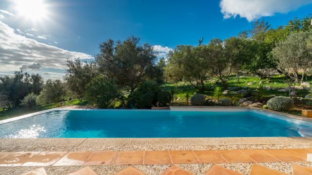 Finca Son Sureda