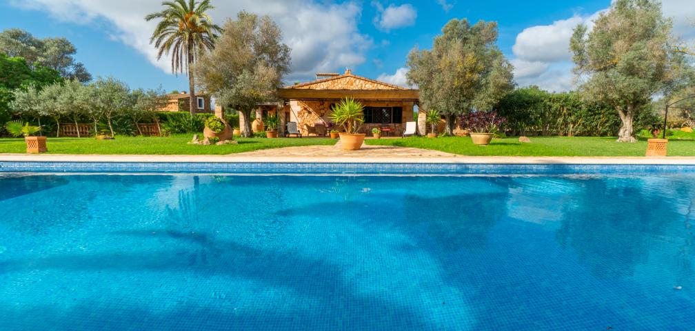 La Paloma