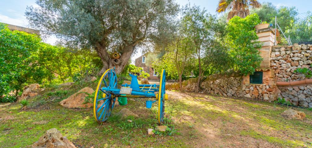 Finca La Paloma