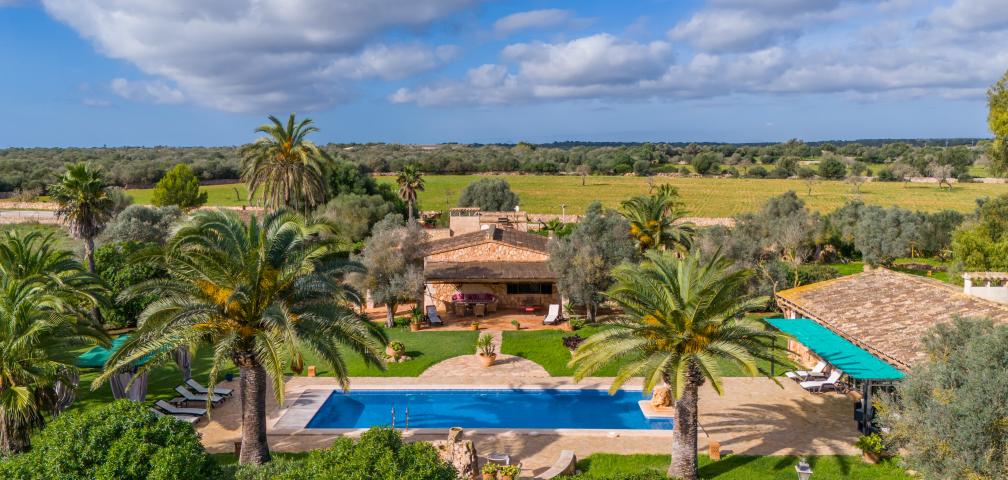 La Paloma