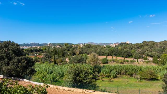 Finca Els Mitjans
