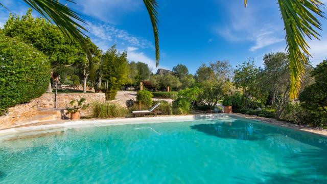 Apartamento rural Los Palmitos