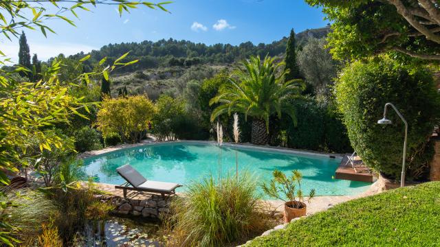 Apartamento rural Los Palmitos