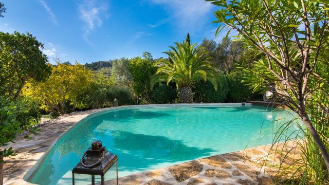 Apartamento rural Los Palmitos