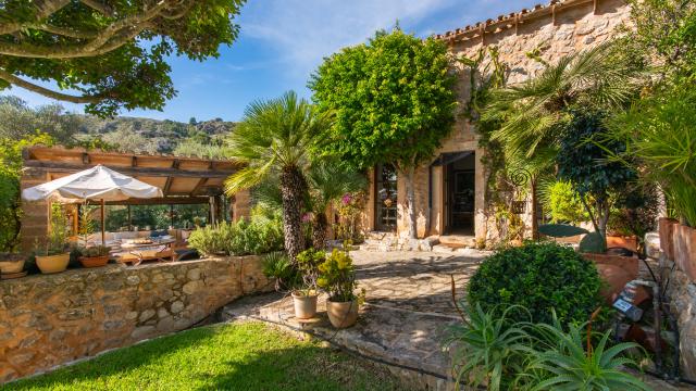 Apartamento rural Los Palmitos