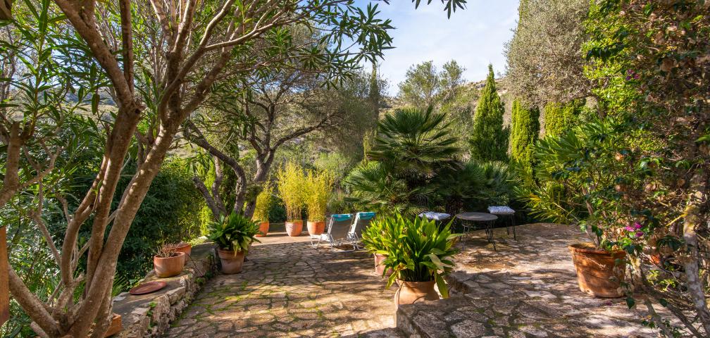 Apartamento rural Los Palmitos