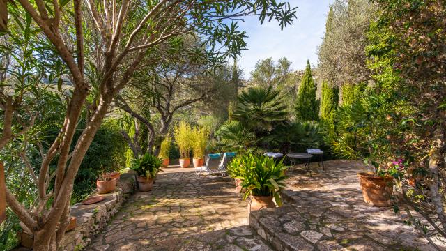 Apartamento rural Los Palmitos