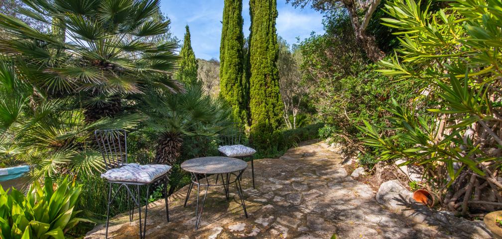 Apartamento rural Los Palmitos