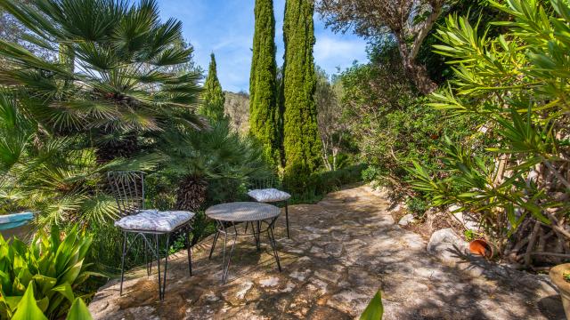 Apartamento rural Los Palmitos