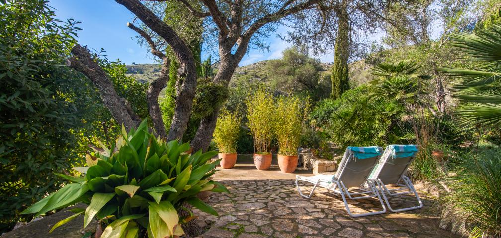 Apartamento rural Los Palmitos