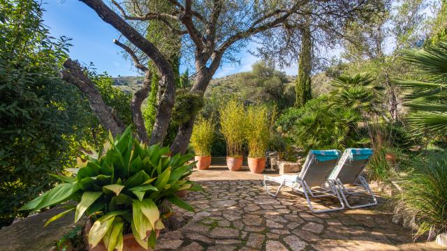 Apartamento rural Los Palmitos