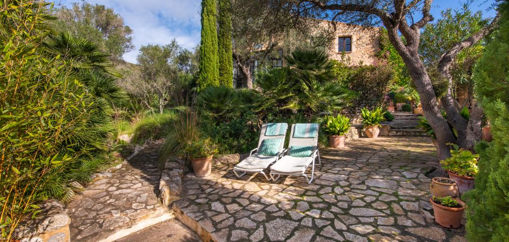 Apartamento rural Los Palmitos