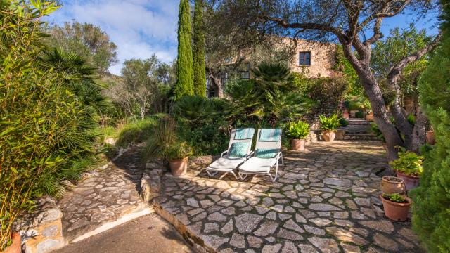 Apartamento rural Los Palmitos