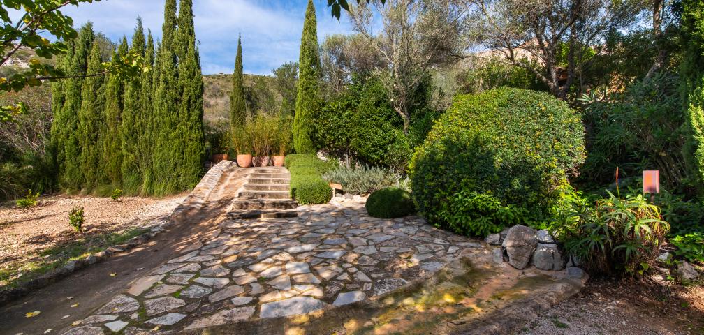 Apartamento rural Los Palmitos