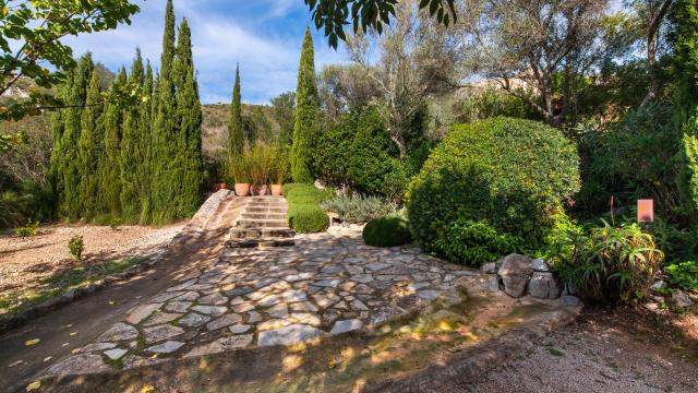 Apartamento rural Los Palmitos