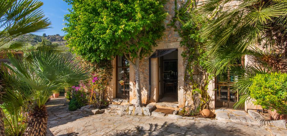 Apartamento rural Los Palmitos