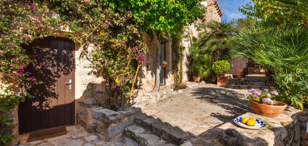 Apartamento rural Los Palmitos